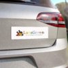 LunaGrown Car Magnets – "Everyone Deserves a Seat at the Table" 9
