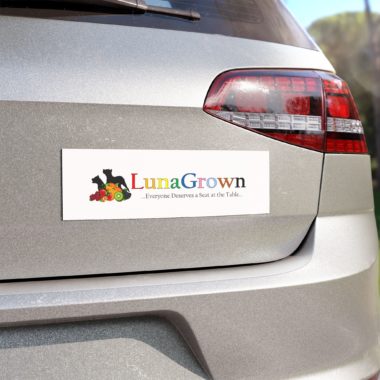 LunaGrown Car Magnets – "Everyone Deserves a Seat at the Table" 4