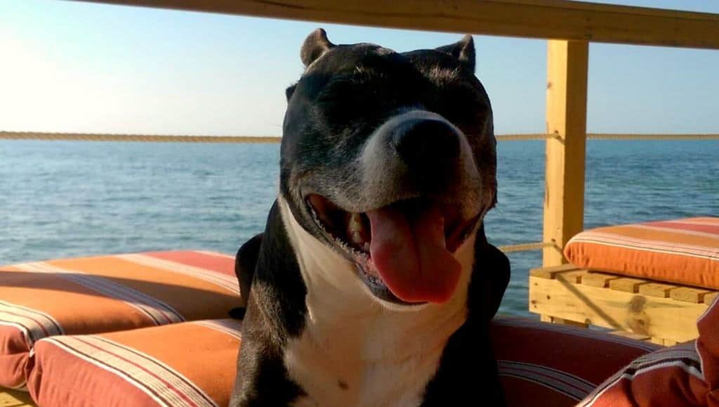 On her own island deck