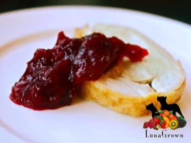 LunaGrown Cranberry Jam and Pork Tenderloin