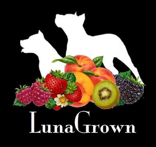 LunaGrown Jam