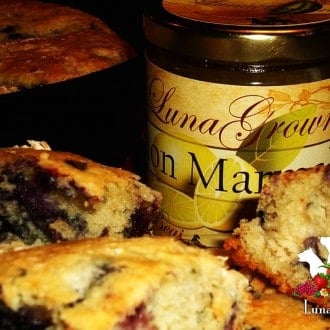Blueberry Cheddar Biscuits with LunaGrown Lemon Marmalade