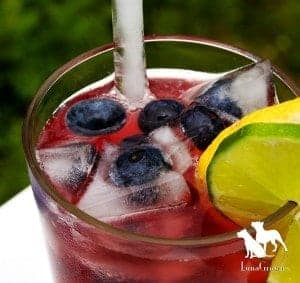 LunaGrown Blueberry Lemonade