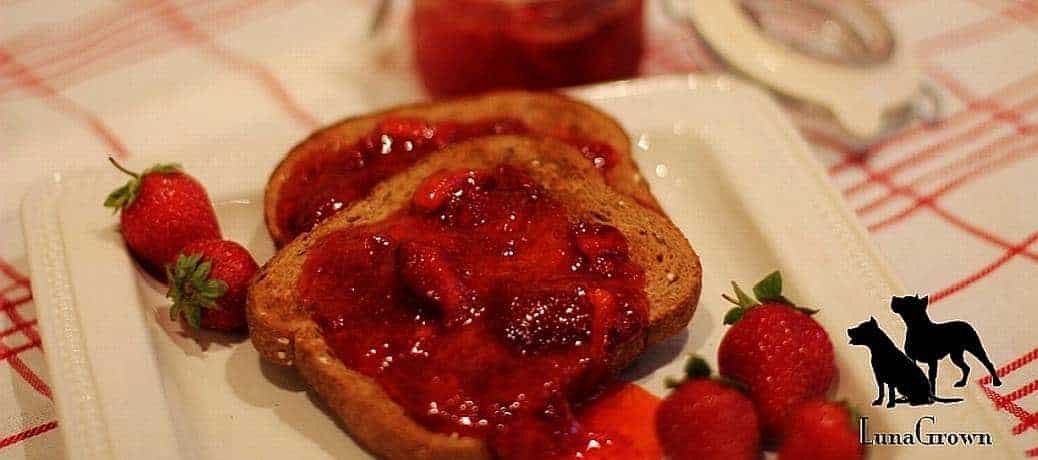 LunaGrown-Strawberry-Jam-Toast