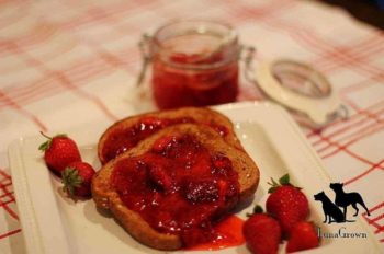 LunaGrown-Strawberry-Jam-Toast