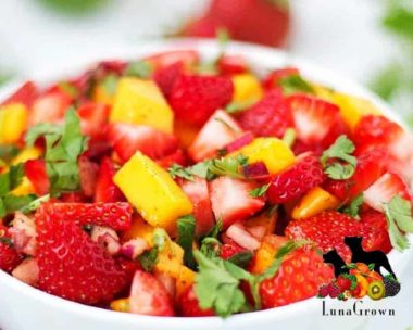 LunaGrown Strawberry Mango Salsa