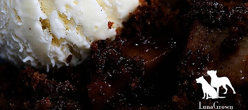 chocolate cake with pineapple jam