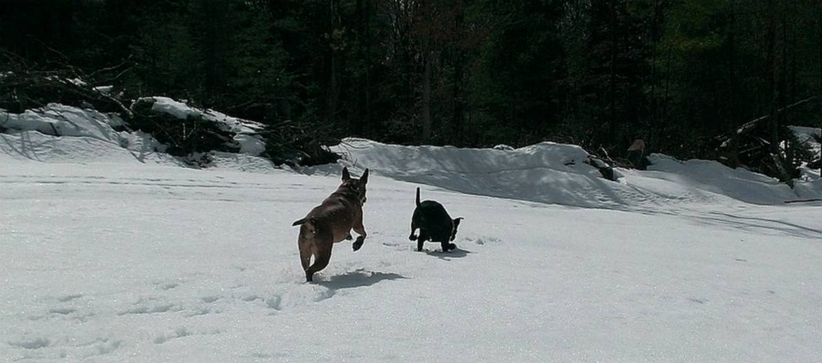 ben luna winter All About Benny - Part One 1