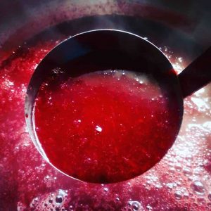 black plum black plum