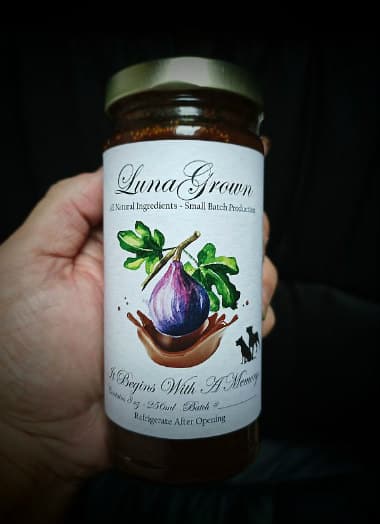 Chocolate Fig Jam by LunaGrown 1