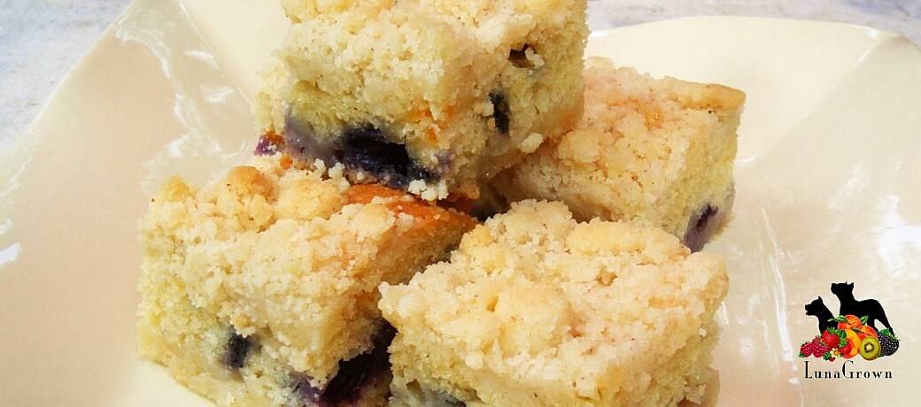 Coffee Cake with Fresh Blueberries and Jam