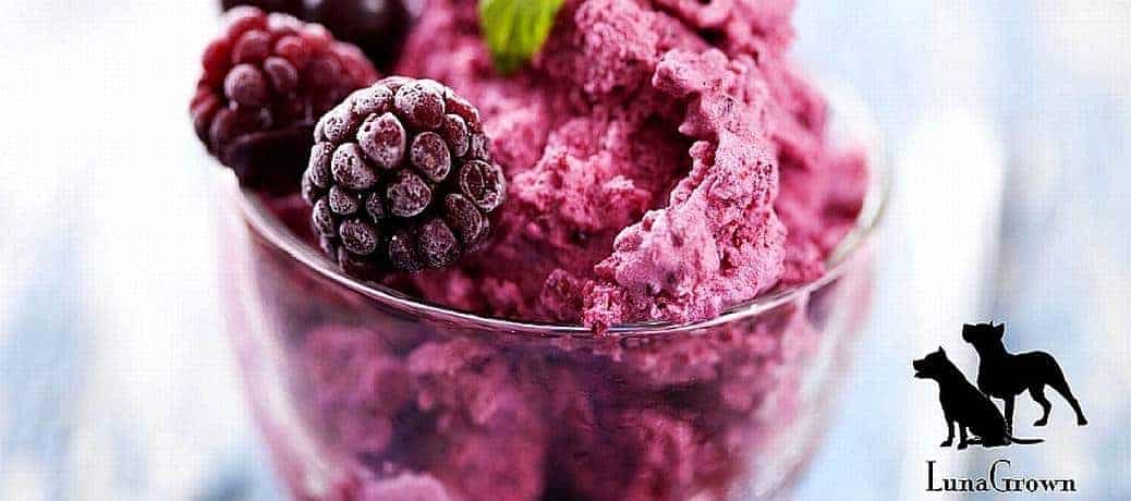 Raw Milk Ice Cream