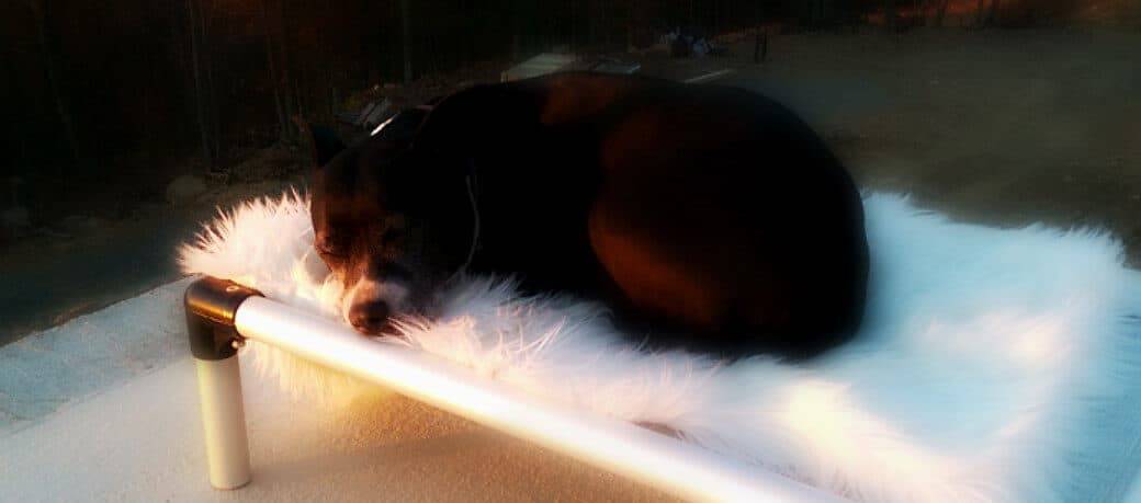 luna nap Luna Vacation Nap