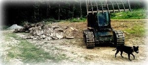 luna skid steer