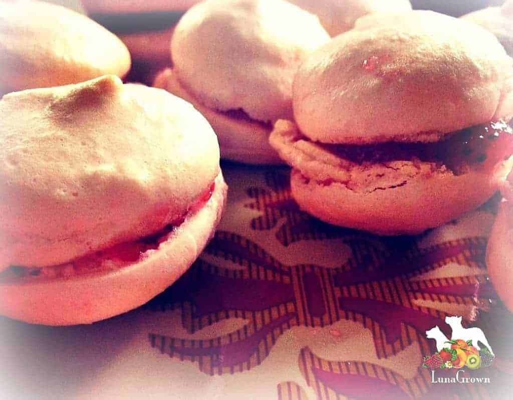 Macaroons with LunaGrown Jam from Cambridge Massachusetts 