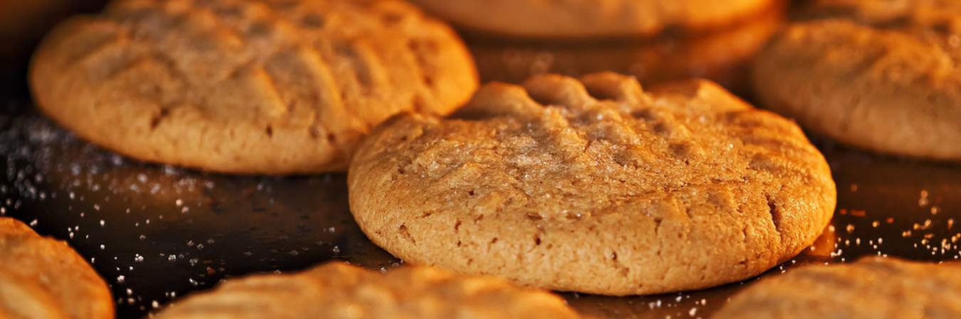 peanut butter cookie