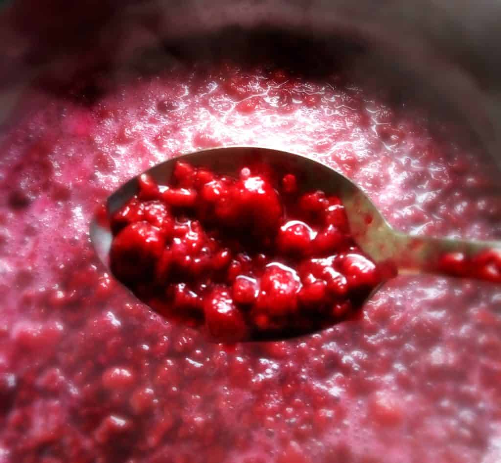 Raspberry Jam