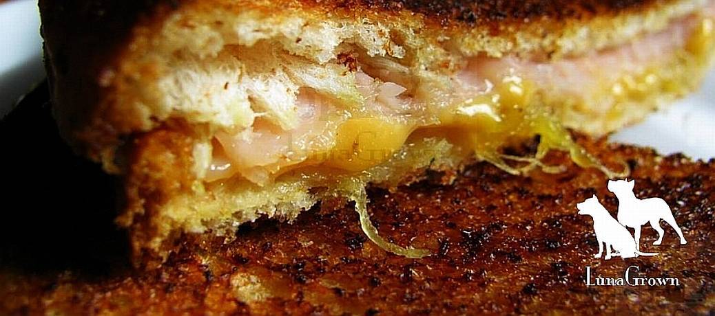 Turkey sandwich with Pineapple Jam