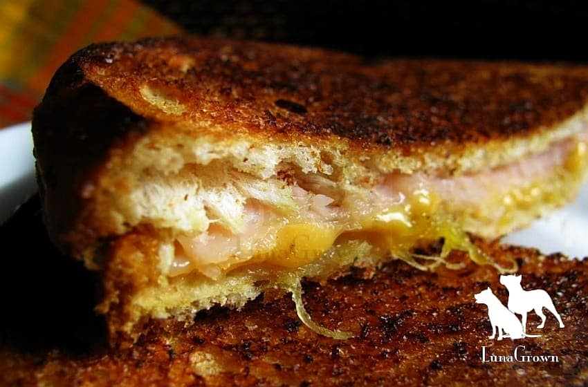 Turkey & Pineapple Jam Sandwich